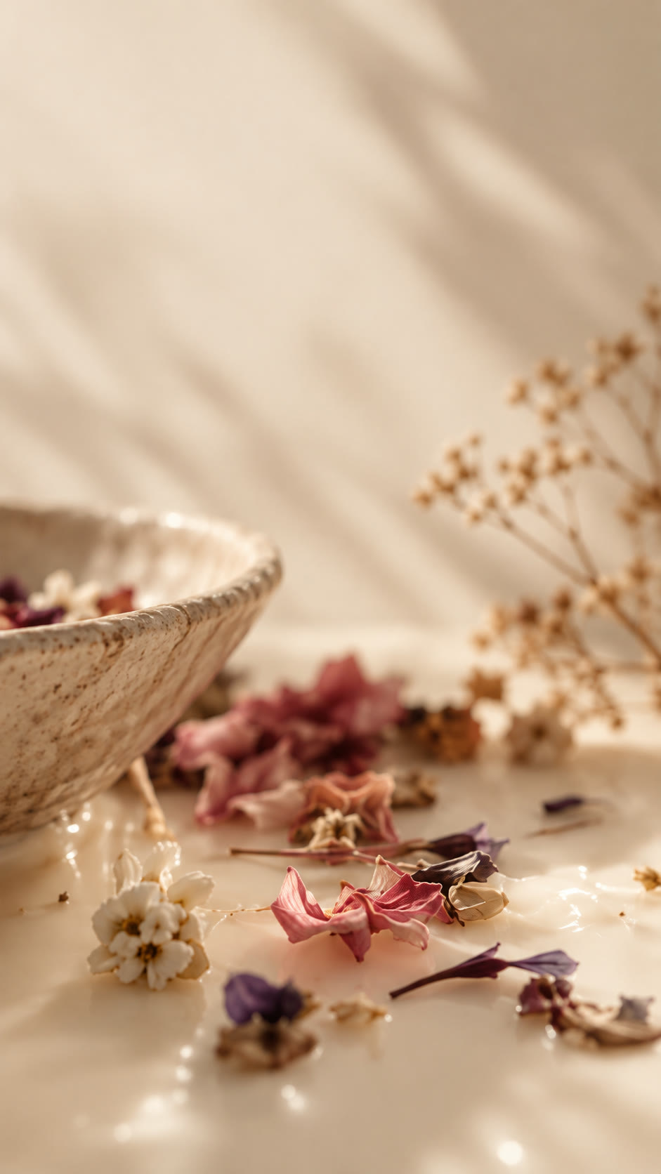 Dried flowers and petals scattered beside a stone bowl in soft sunlight