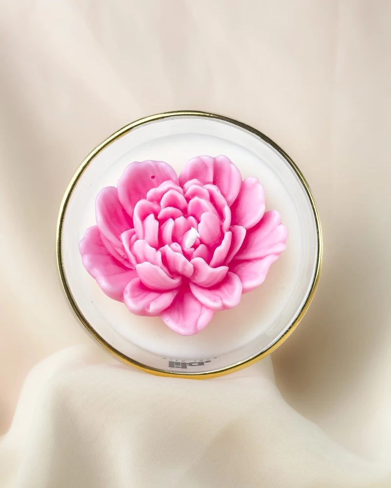 Pink flower on a round white plate with a gold rim against a beige background